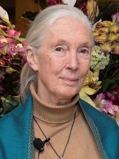 Jane Goodall