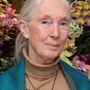 Jane Goodall